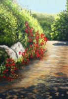 /album/fenykepgaleria/pipacsok-volgye-jpg/